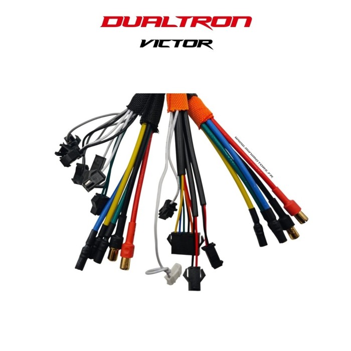 DUALTRON VICTOR & LUXURY & LUXURY PLUS V1/V2 & LTD | CONTROLEUR 60V LDVH