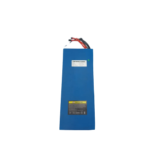 DUALTRON VICTOR & VICTOR LUXURY & SPIDER MAX | BATTERIE 60V30AH