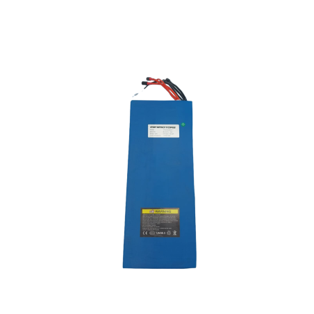 DUALTRON VICTOR & VICTOR LUXURY & SPIDER MAX | BATTERIE 60V30AH