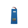 DUALTRON VICTOR & VICTOR LUXURY & SPIDER MAX | BATTERIE 60V30AH