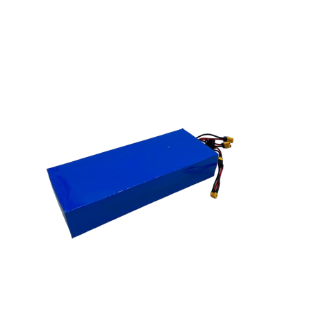 TEVERUN FIGHTER MINI | BATTERIE 52V20.AH RECONDITIONNEE