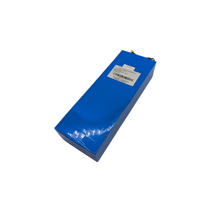 TEVERUN MINI PRO | BATTERIE 60V 25AH