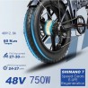 Achat de Vélo électrique Engwe EP-2 PRO au meilleur prix sur Funtrott.fr, Livraison 24H/48H