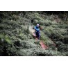 Achat de SUR-RON STORM BEE ENDURO HOMOLOGUÉE au meilleur prix sur Funtrott.fr, Livraison 24H/48H
