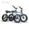 Achat de RUFF CYCLE LIL'BUDDY ACTIVE LINE 300Wh BLEU/VERT VÉLO ÉLECTRIQUE Ruff Cycles au meilleur prix sur Funtrott.fr, Livraiso