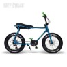 Achat de RUFF CYCLE LIL'BUDDY ACTIVE LINE 300Wh BLEU/VERT VÉLO ÉLECTRIQUE Ruff Cycles au meilleur prix sur Funtrott.fr, Livraiso