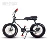 Achat de RUFF CYCLE LIL'BUDDY ACTIVE LINE 300Wh ANTHRACITE  VÉLO ÉLECTRIQUE Ruff Cycles au meilleur prix sur Funtrott.fr, Livrai