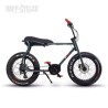 Achat de RUFF CYCLE LIL'BUDDY ACTIVE LINE 300Wh ANTHRACITE  VÉLO ÉLECTRIQUE Ruff Cycles au meilleur prix sur Funtrott.fr, Livrai