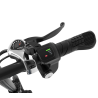 Vélo électrique Engwe C20 250W Pliant VAE de ville 10.4Ah