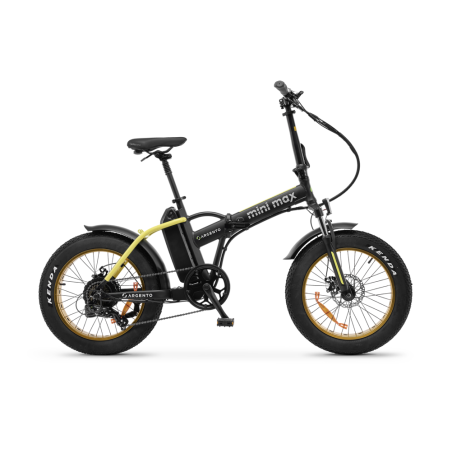 Vélo électrique Mini Max