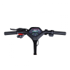 TROTTNETTE ELECTRIQUE Segway KickScooter P65E