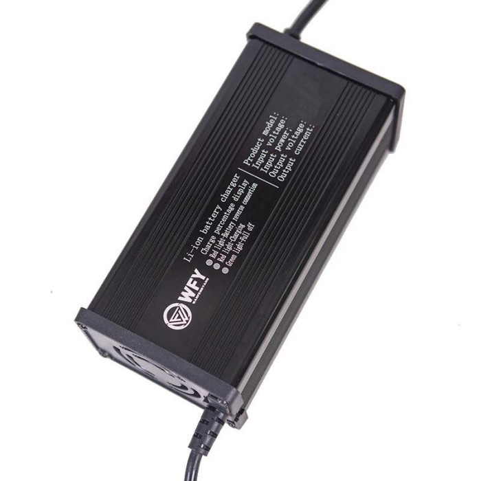 Achat de Chargeur rapide 72v 5ah Thunder 2 Norme CE au meilleur prix sur Funtrott.fr, Livraison 24H/48H