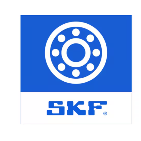 Roulement de colonne SKF pour Currus.