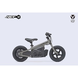 MINI YCF 12-GRIS