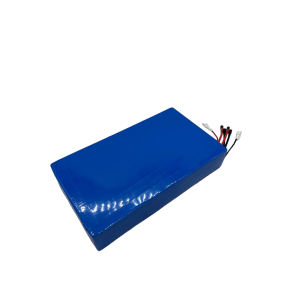DUALTRON THUNDER 3 | BATTERIE 72V40AH RECONDITIONNEE