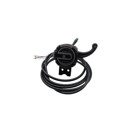 DUALTRON THUNDER 3 2023 | ACCELERATEUR 5 PINS
