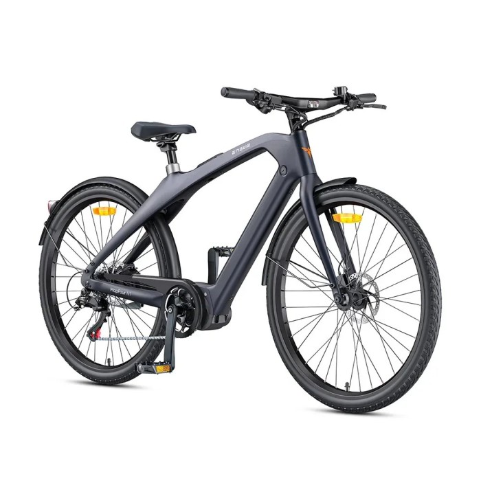 ENGWE N1 PRO